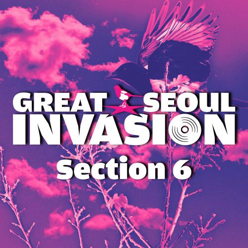 Various Artists – Great Seoul Invasion Section 6